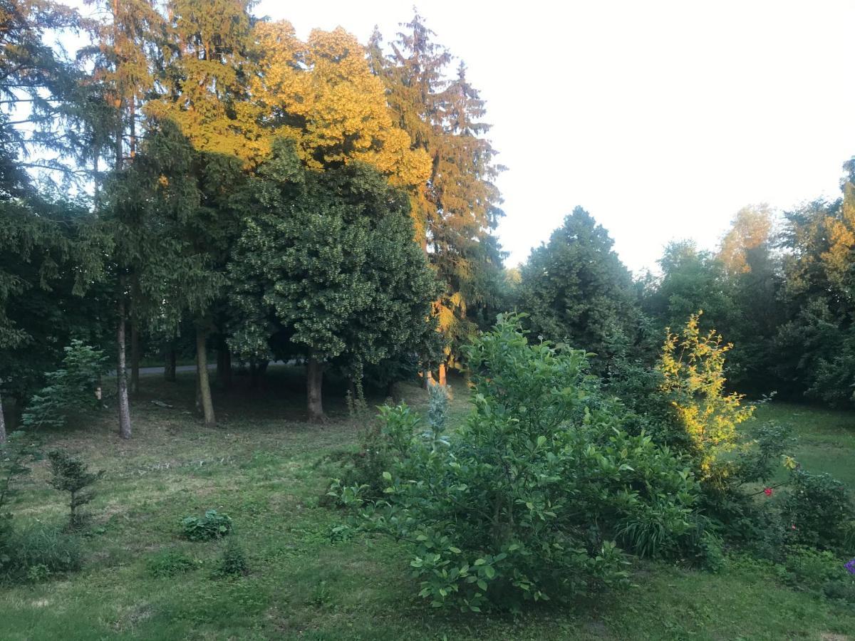 Zabytkowy Drewniany Dom Z 1887 Roku Nowy Dwór Gdański Esterno foto